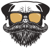 custom_website